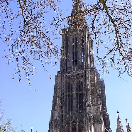 فندق Roter Loewe أولم