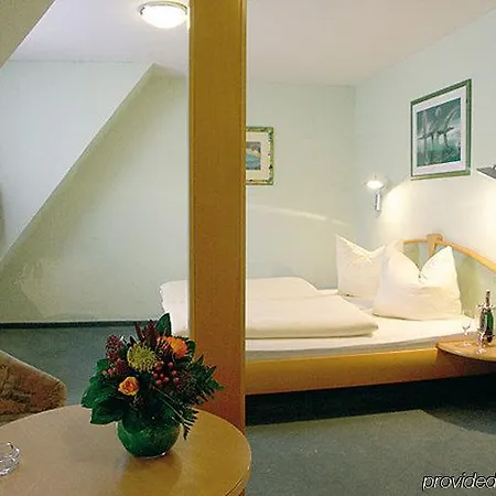 Roter Loewe فندق أولم